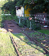 min 525 8.jpg min 525 8.jpg